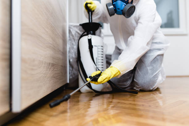 Best Mosquito Control Services  in Willards, MD