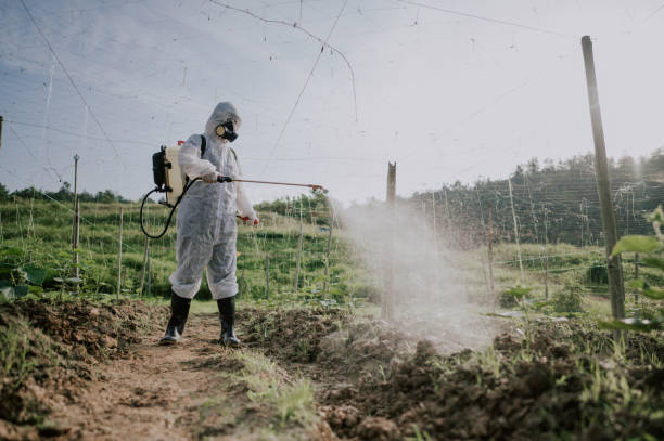 Best Pest Prevention Services  in Willards, MD