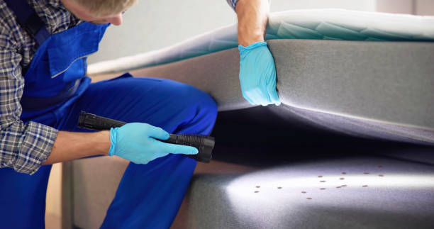 Best Exterminator Services  in Willards, MD