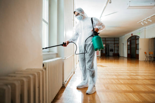 Flea Control Services in Willards, MD