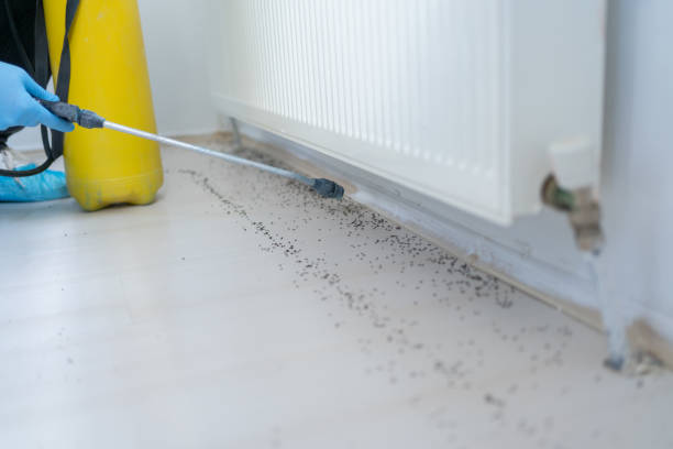Best Pest Control for Restaurants  in Willards, MD
