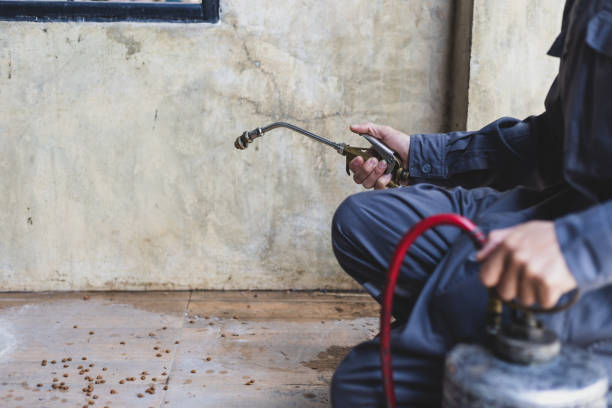 Best Exterminator Services  in Willards, MD